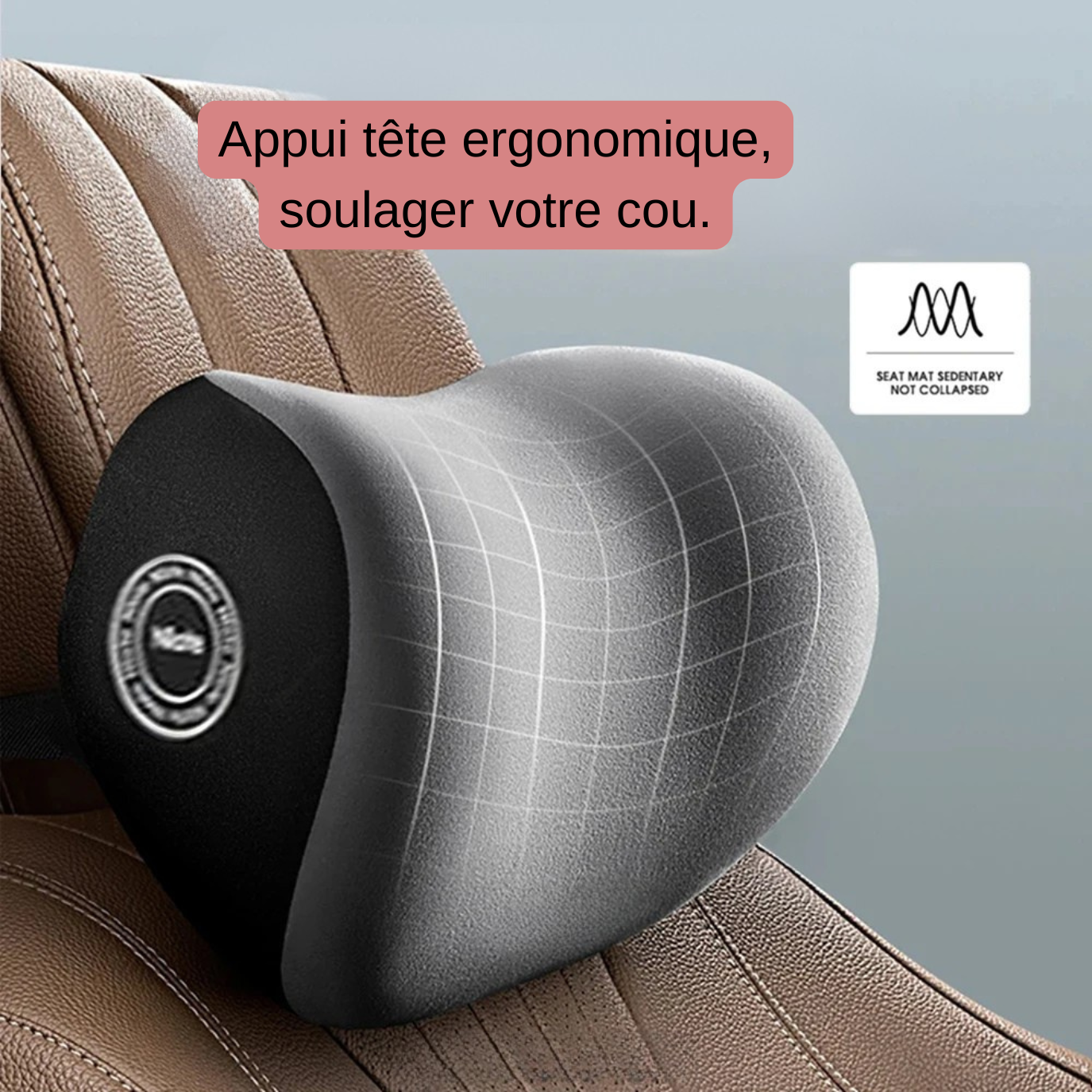 Coussin Voiture