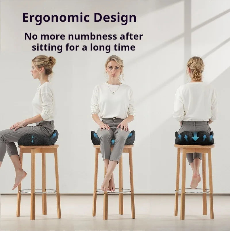 Cousin d'Assise Confort